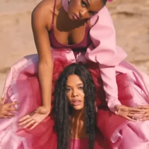 Janelle Monáe Pink video.webp