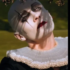  The Ego Has Landed. Robbie Willians.3. webp.