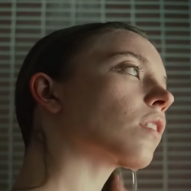  Sydney Sweeney: Echo Valley (2025) The Housemaid (2025) Immaculate (2024) euphoria T3 (2026)