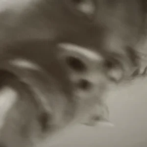 -Dougy Mandagi, vocalista de la banda: The Temper Trap.1.webp