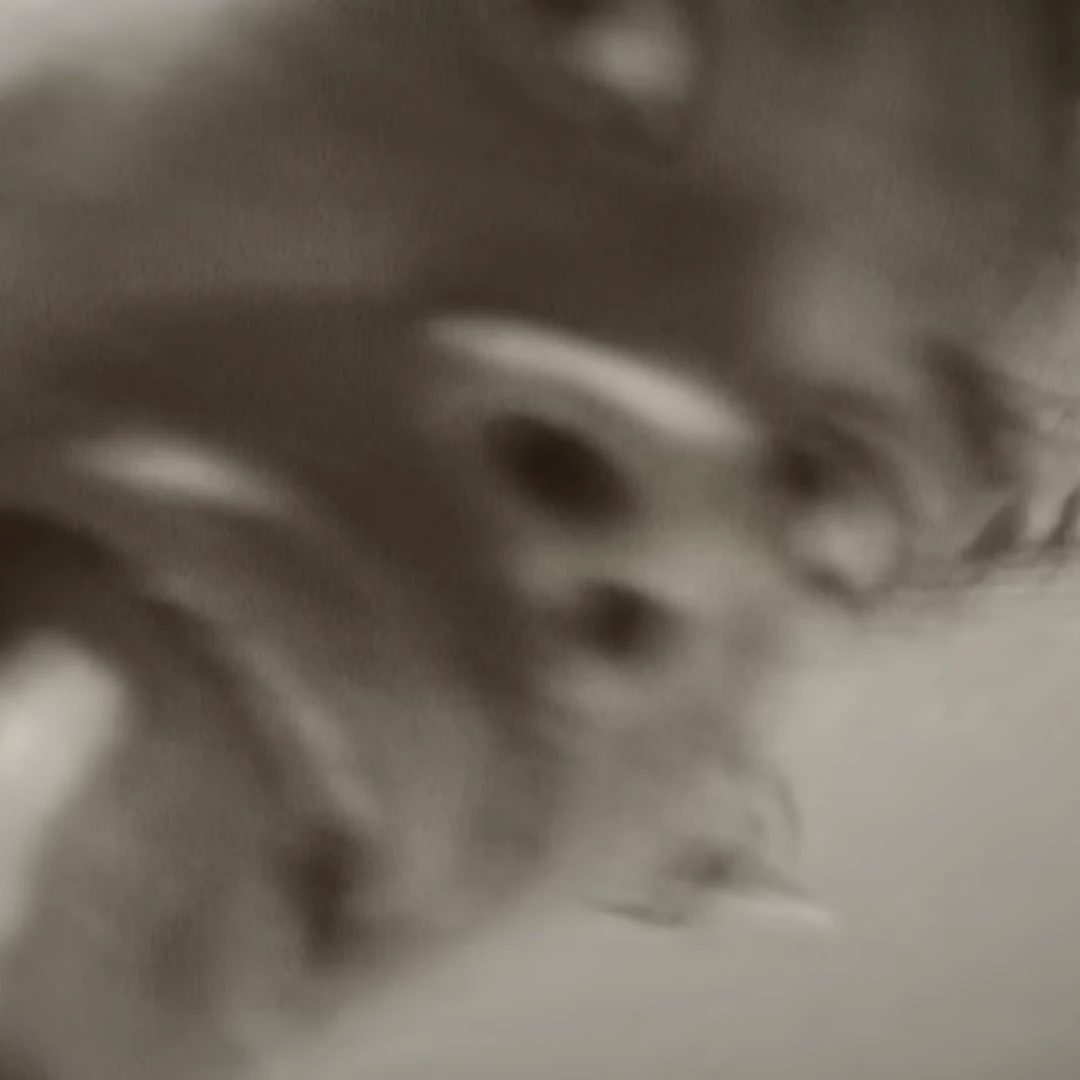 -Dougy Mandagi, vocalista de la banda: The Temper Trap.1.webp